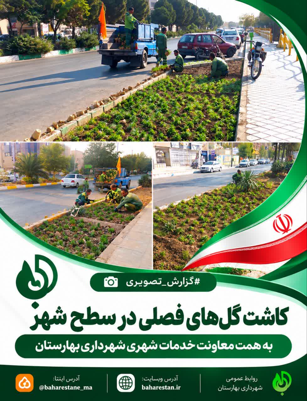 کاشت-گل‌های-فصلی-در-سطح-شهر-بهارستان؛-گامی-برای-زیبایی-و-طراوت-شهری